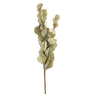 RAMO FOGLIE DI VELLUTO