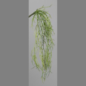 SUCCULENTA DA APPENDERE