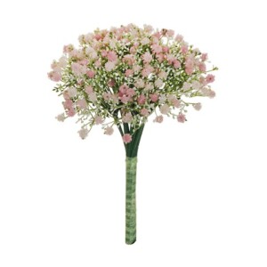 GYPSOPHILA
