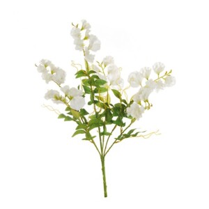 PISELLO ODOROSO MAZZO