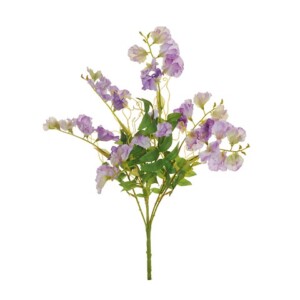 PISELLO ODOROSO MAZZO