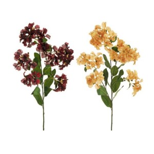 LAGERSTROEMIA
