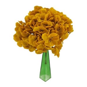 HYDRANGEA STABILIZZATA