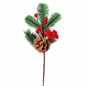 RAMO PINO C/BACCHE E PIGNA