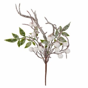 RAMO PUNGITOPO C/BACCHE