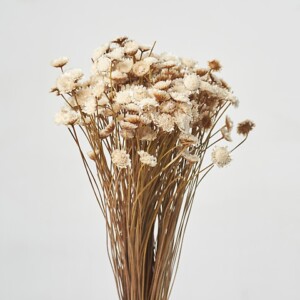 MARGHERITE EXTRA 50GR