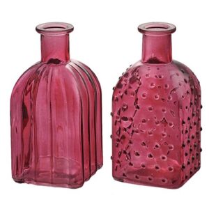 BOTTIGLIA LUSTRATA 2ASS