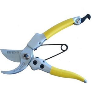 CESOIA PROFESSIONALE