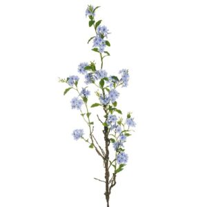 PLUMBAGO