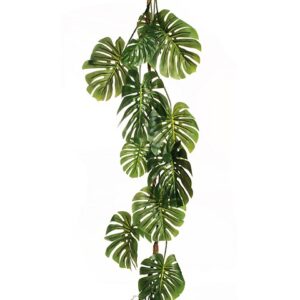 PHILODENDRON