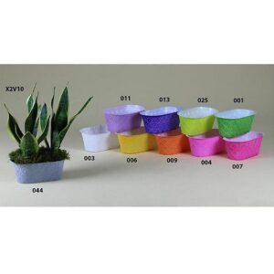 COPRIVASO DECOR X2V10