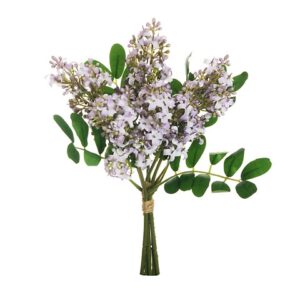 SYRINGA MAZZO