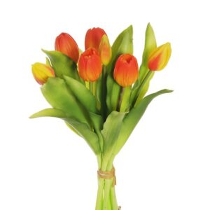 TULIPANI
