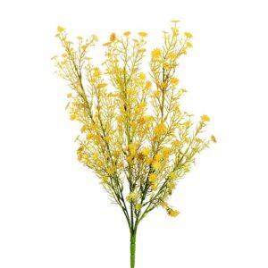 MARGHERITE CESPUGLIO