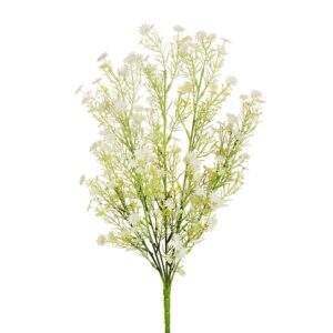 MARGHERITE CESPUGLIO