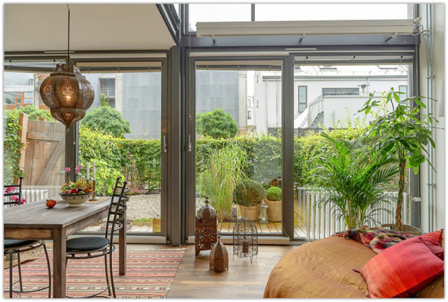 Cura delle piante da appartamento, trucchi e segreti