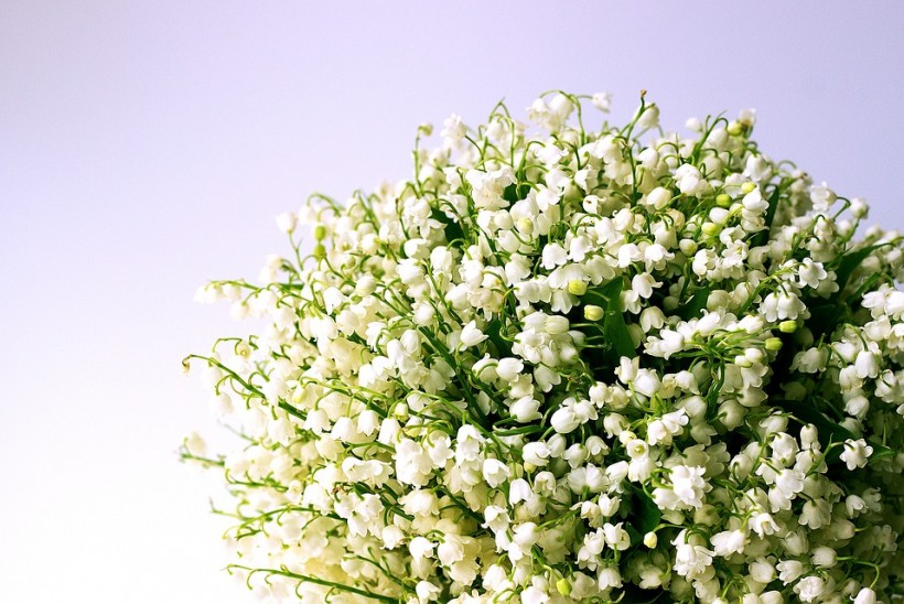 Bouquet da sposa con mughetti, le idee più eleganti - Lombarda Flor