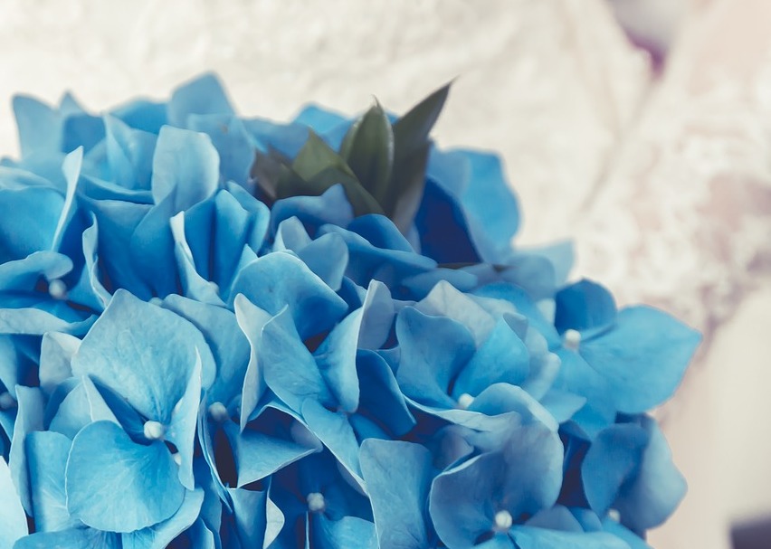 matrimonio-blu-niagara-fiori